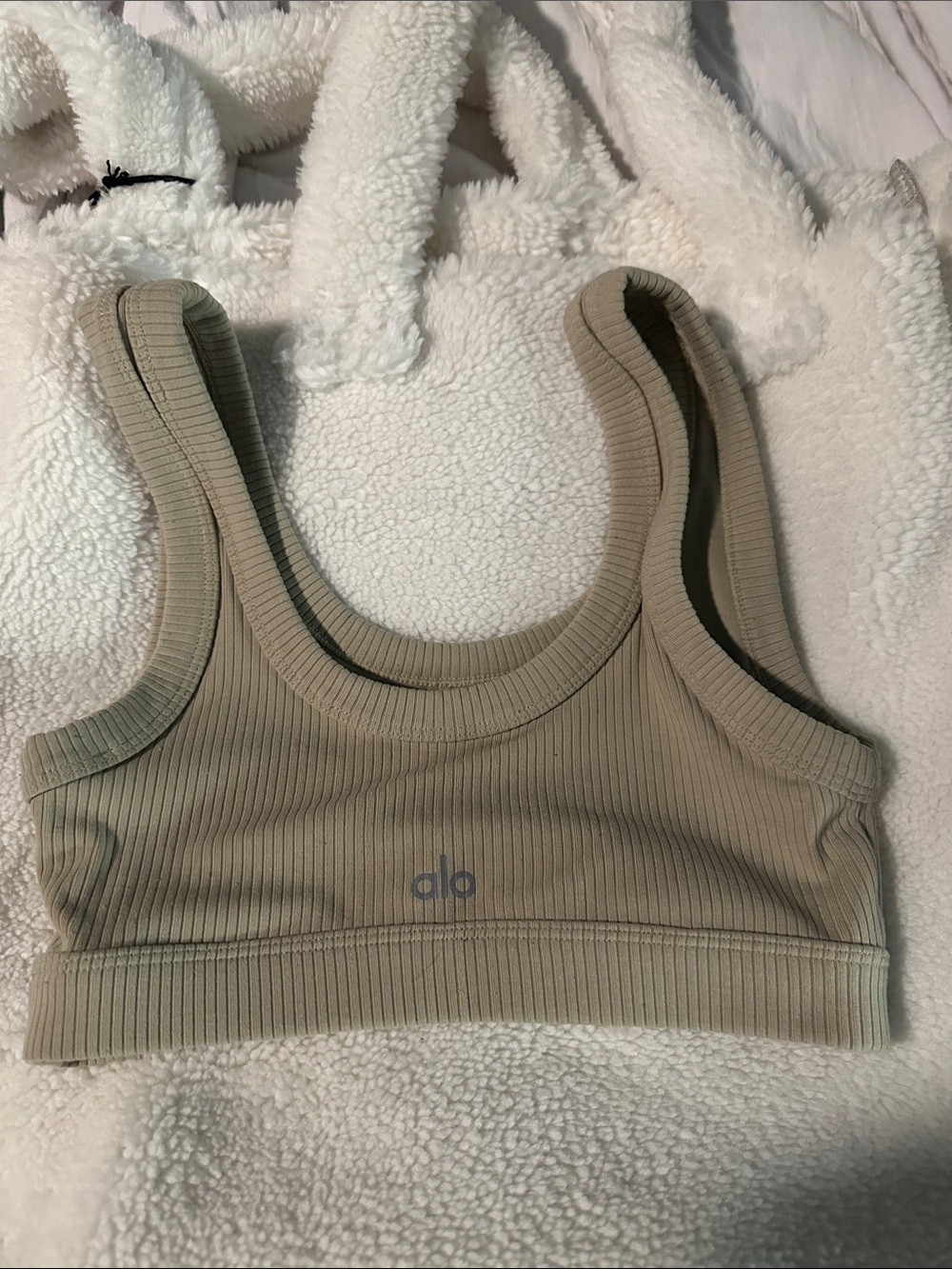 Alo Yoga Wellness Ribbed Sports Bra in Nude Taupe XS